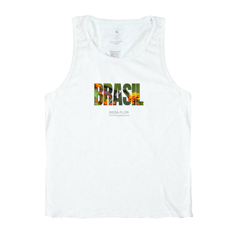 Animais do Brasil – Beija-flor