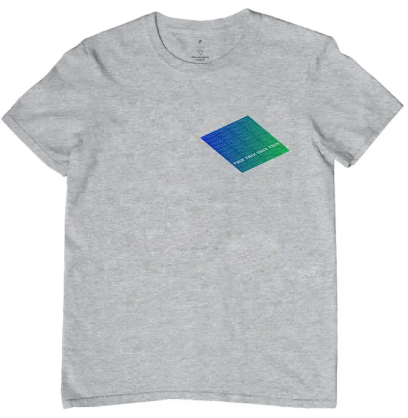 Camiseta Cinza 1A