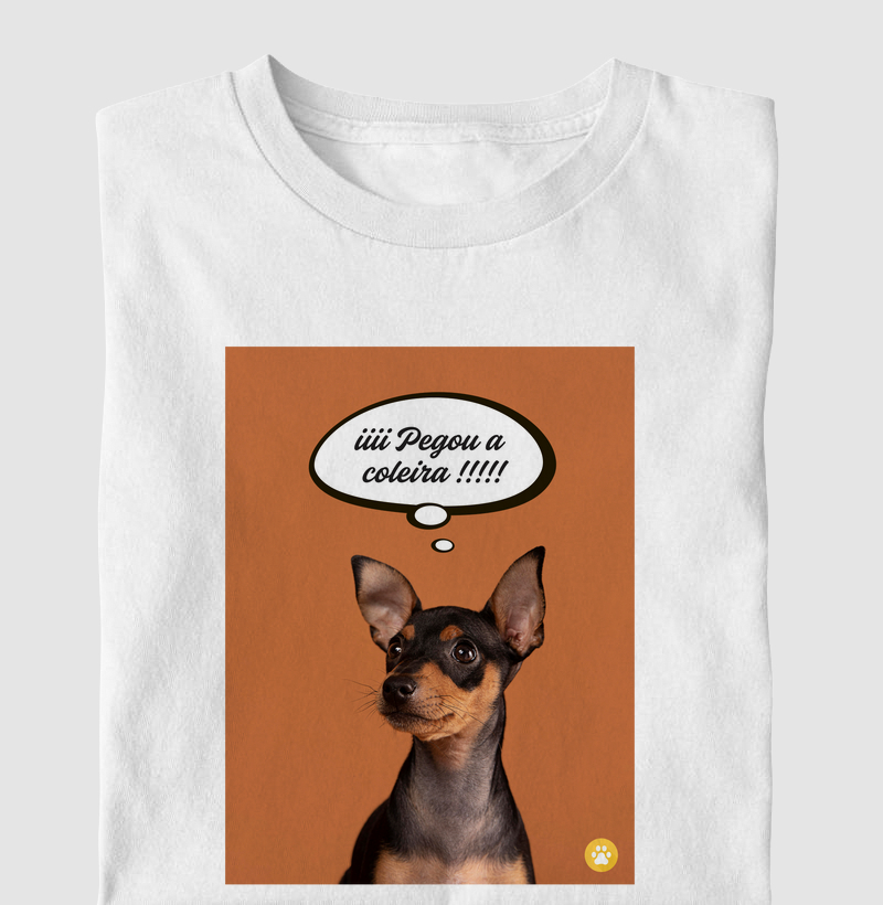 Camiseta Vou passear