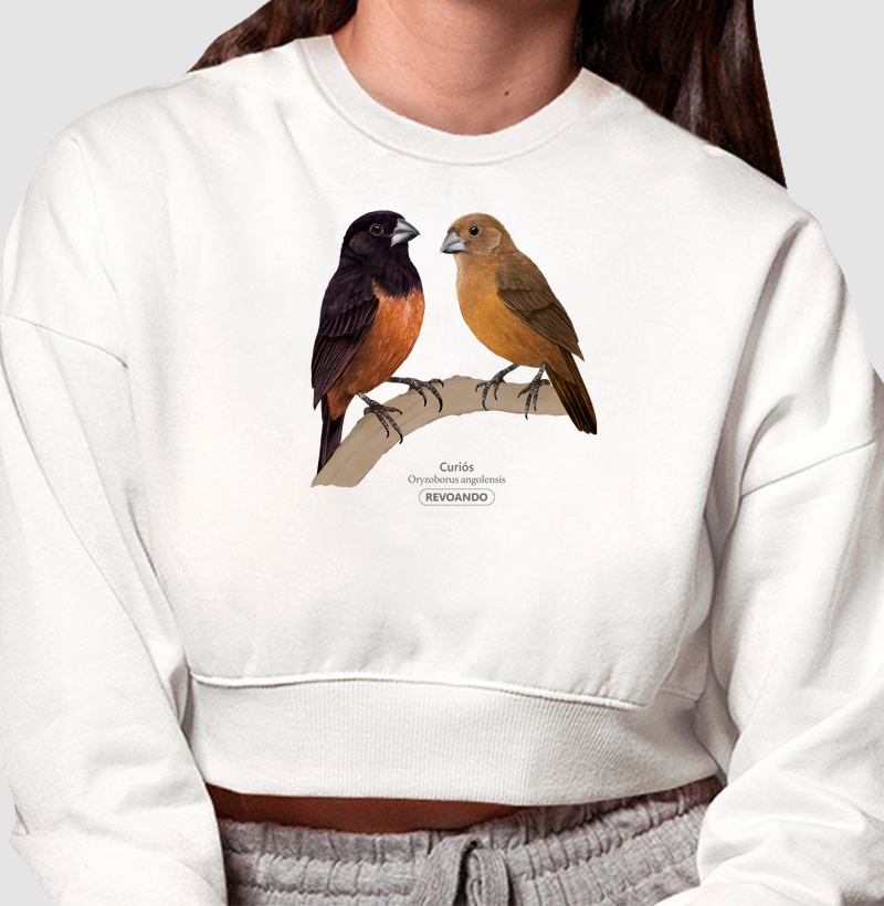 Aves do Brasil - Casal de Curiós - Moletom Cropped
