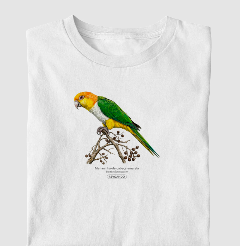 Traços Alados - Marianinha-cabeça-amarela