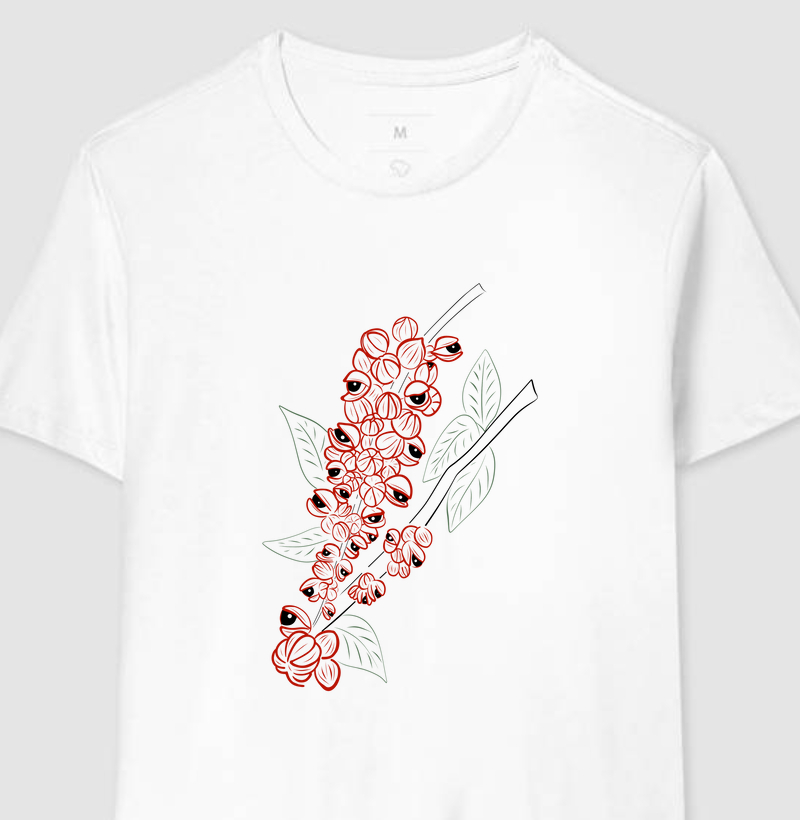 Guaraná II