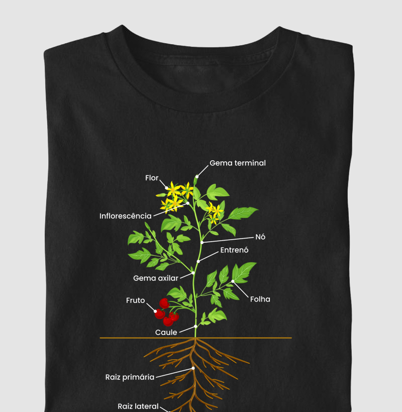 Biologia, anatomia vegetal (EDU)