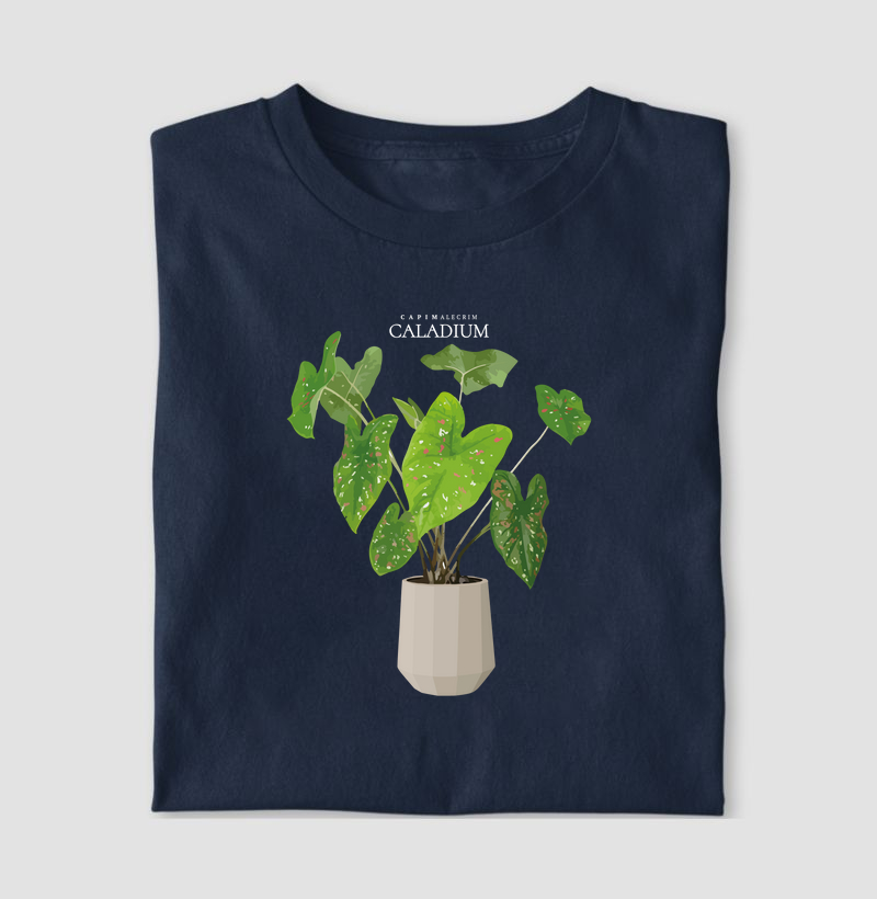 Caladium