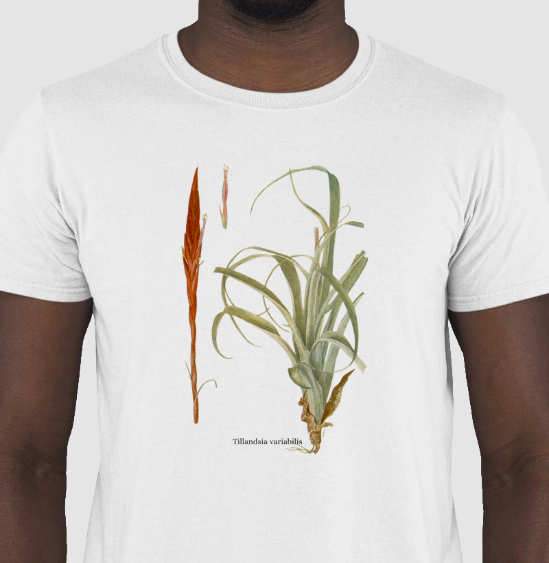 Camiseta Tshirt Tilandsia variabilis