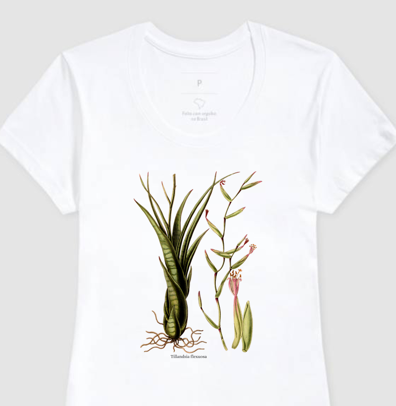 Camiseta Feminina Tillandsia flexuosa