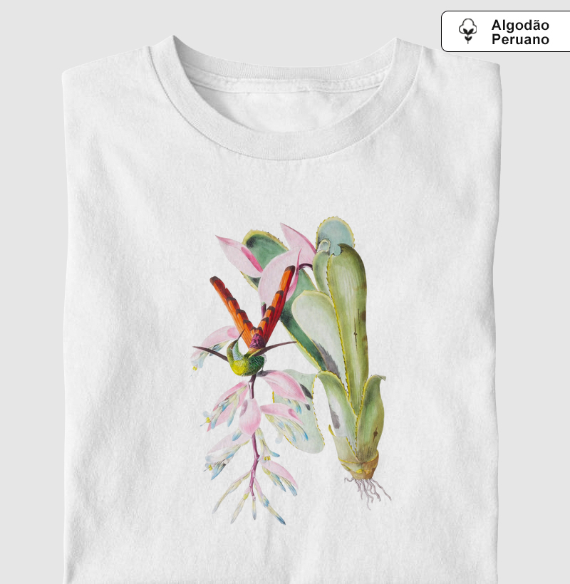 Colibri Reluzente