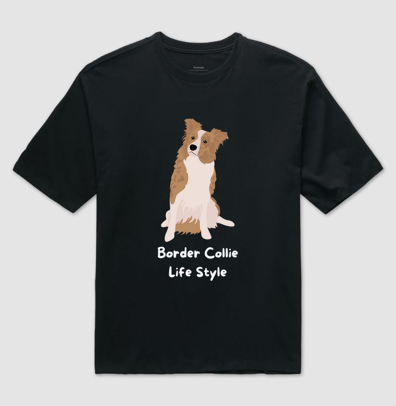 Border collie life style