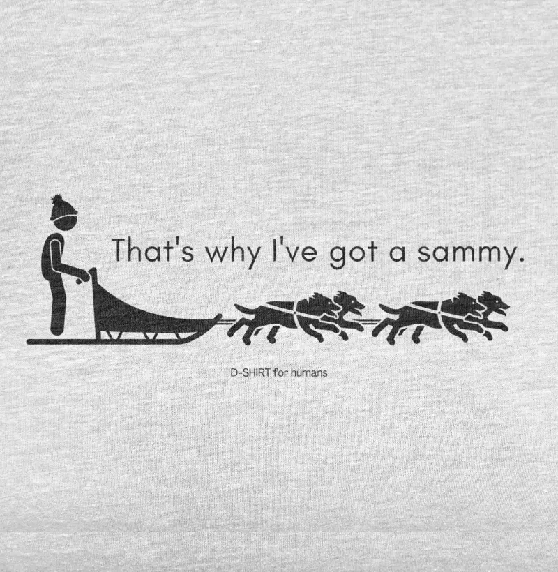 that's why I've got a sammy - samoieda