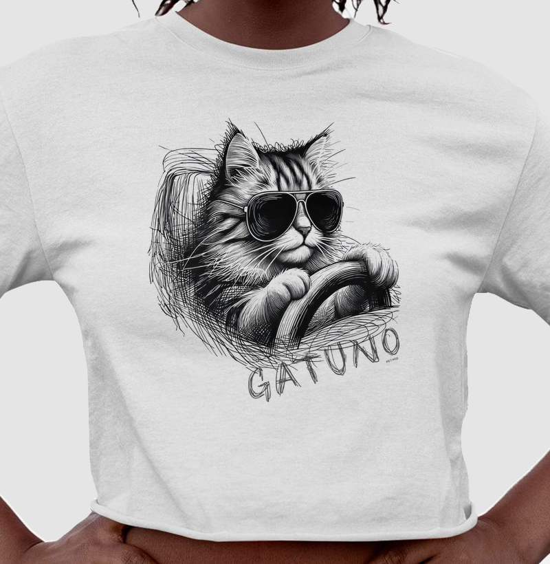 Regata Gato Gatuno