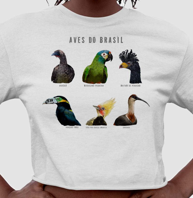 Aves do Brasil - Várias - Cropped