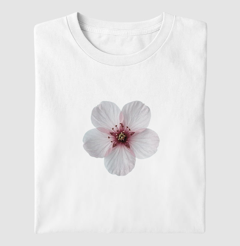 Sakura – A Beleza do Agora