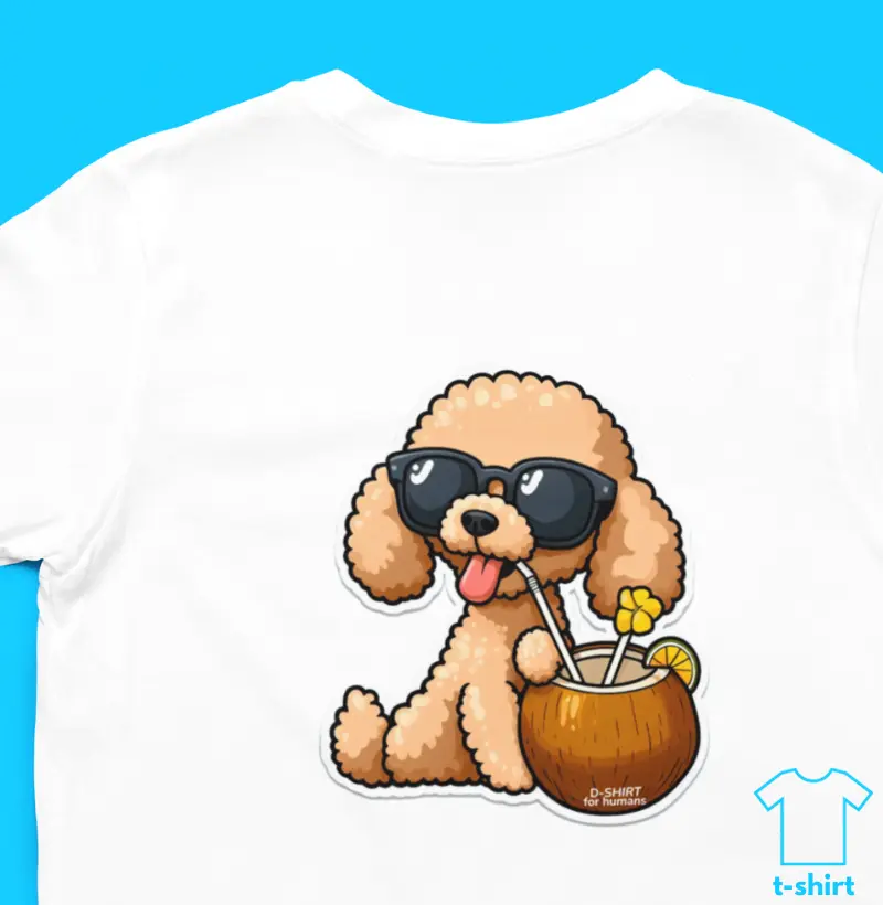 Coco - Poodle
