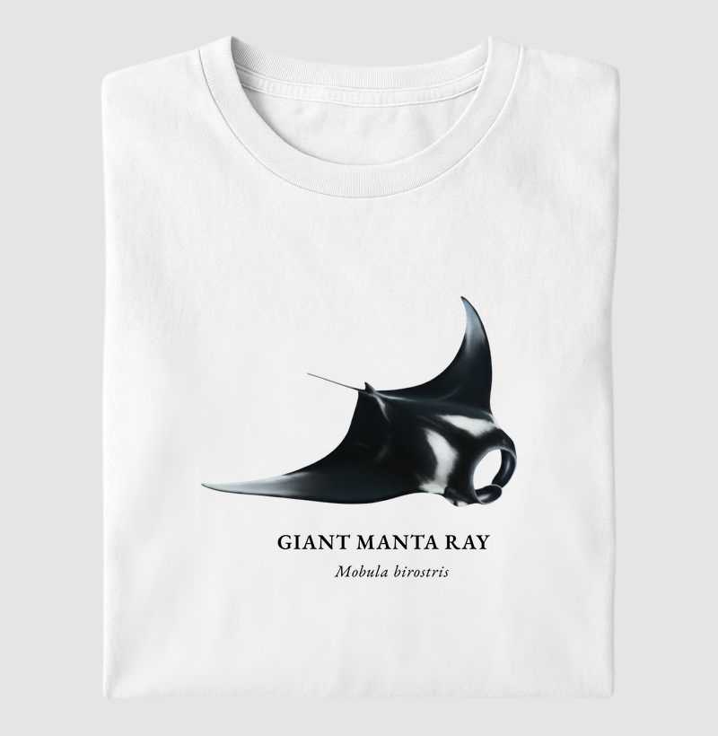 Giant Manta Ray