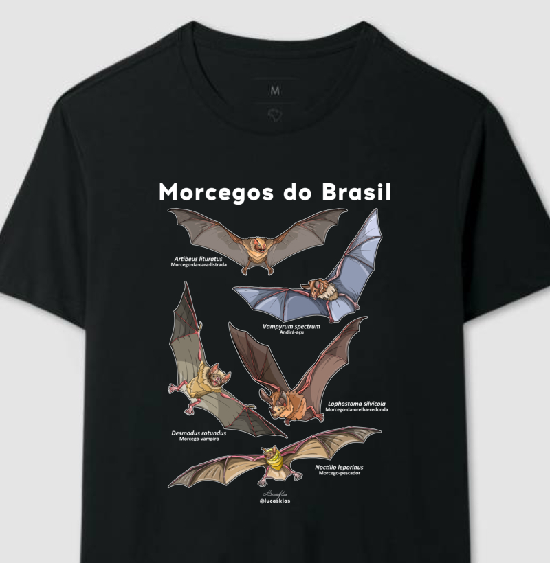 Morcegos do Brasil - Modelo B