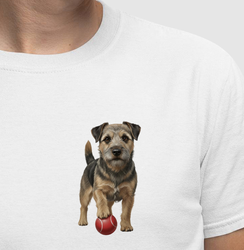 Border Terrier