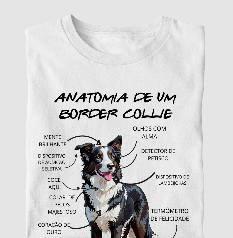 Anatomia de um border collie
