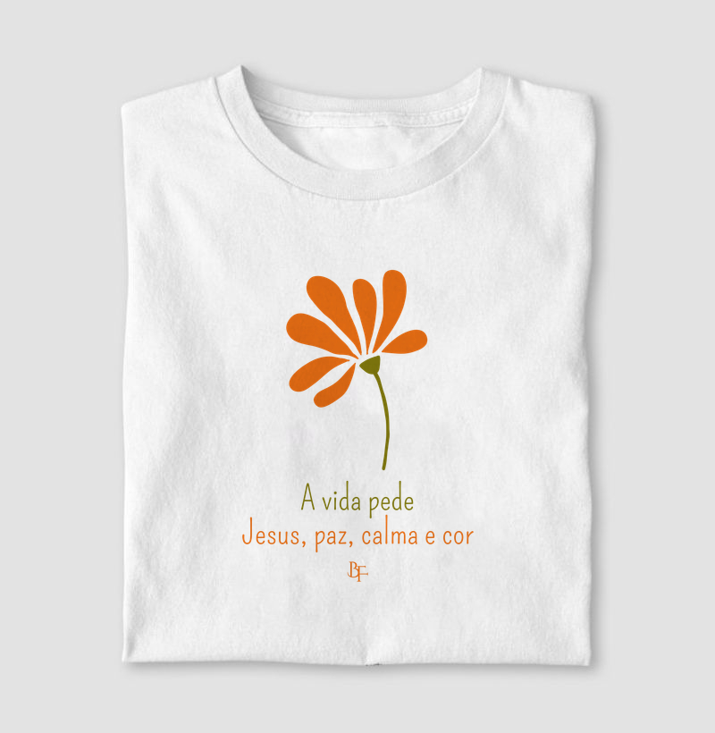 A vida pede Jesus, paz, calma e cor