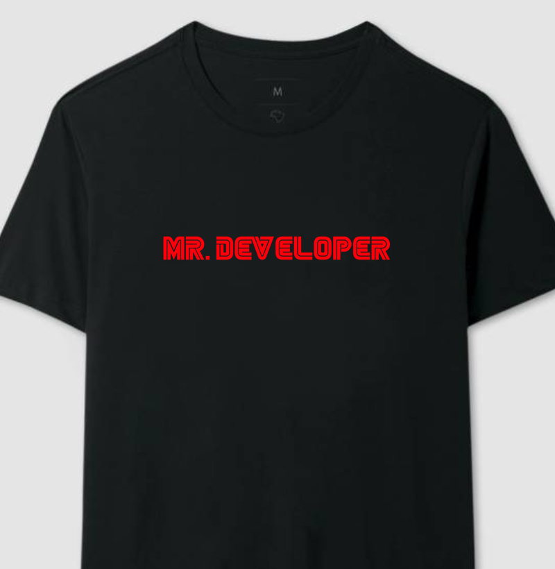 MR DEVELOPER