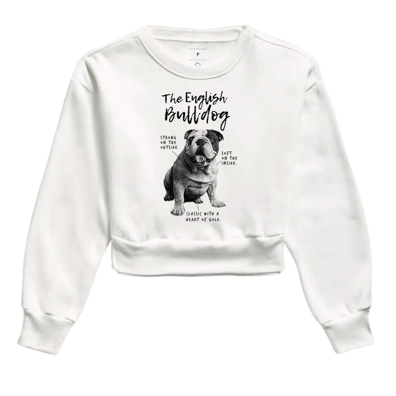 Bulldogue Inglês