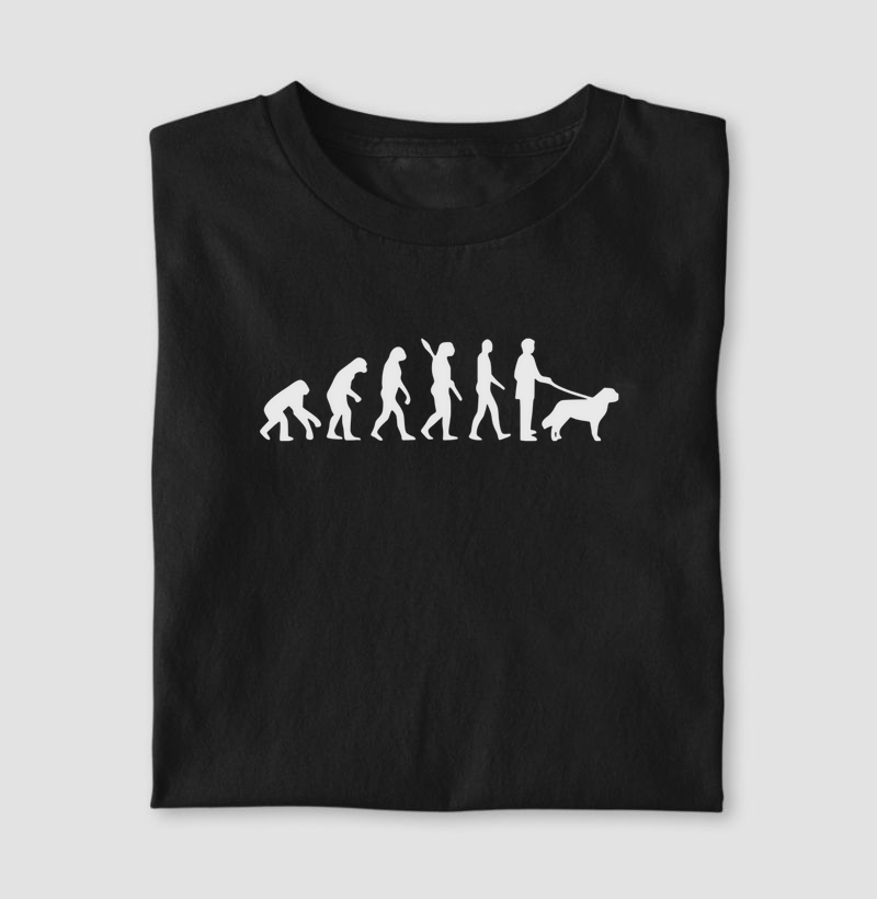 Evolução