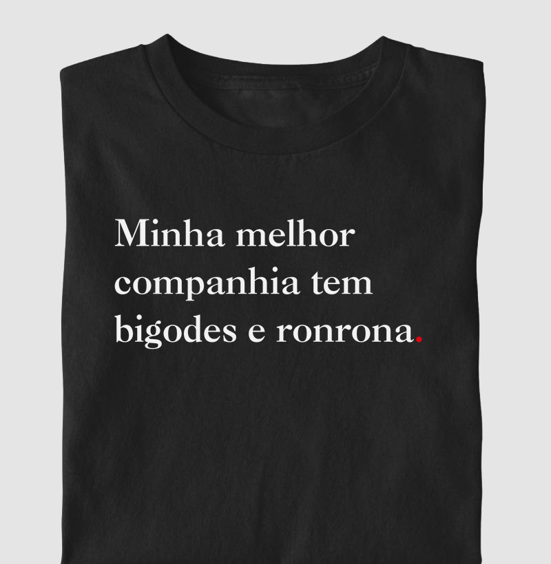 Gatos a melhor companhia