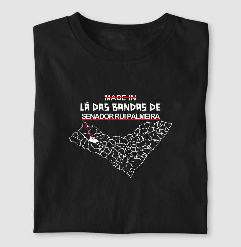 Senador Rui Palmeira | Lá das Bandas