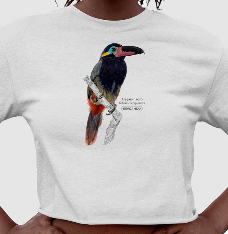 Aves do Brasil - Araçari-negro - Cropped