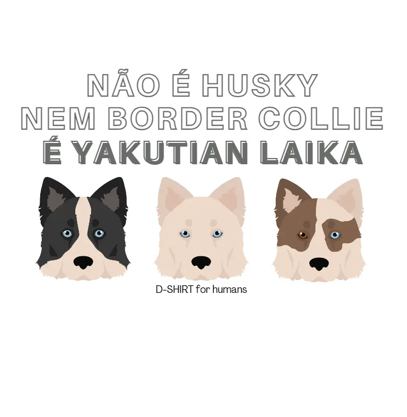 Não é husky, nem border collie - yakutian