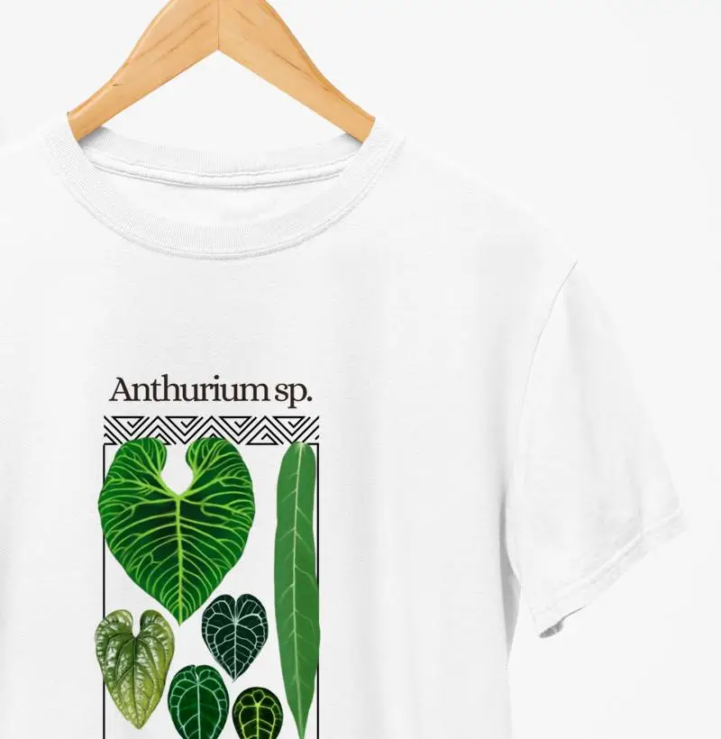 ANTHURIM QD