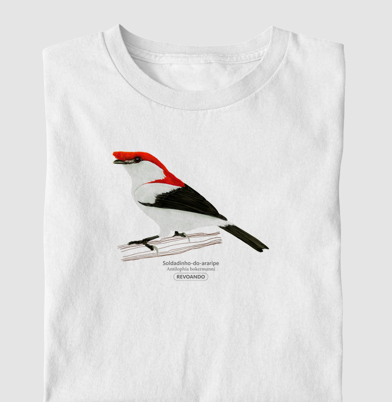 Inky Aves - Soldadinho-do-araripe - Infantil