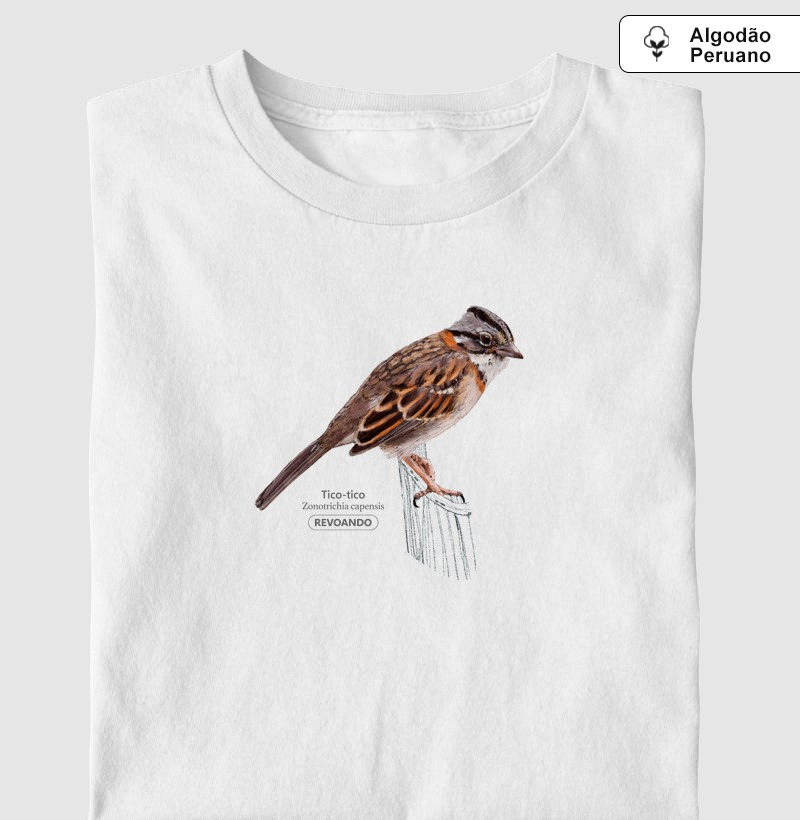 Aves do Brasil - Tico-tico - Algodão Peruano