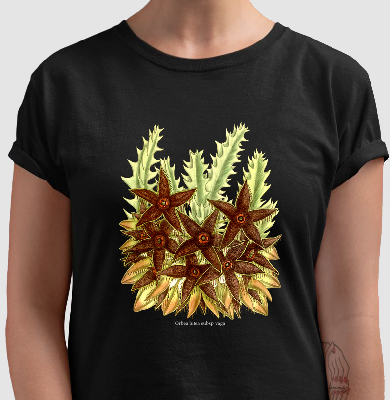 Camiseta Tshirt Orbea lutea subsp. vaga