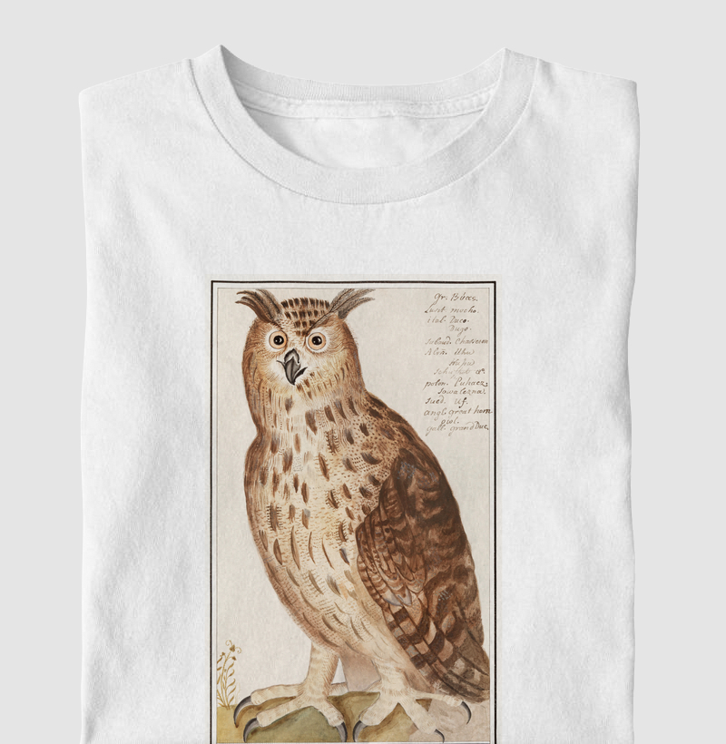 Eagle Owl