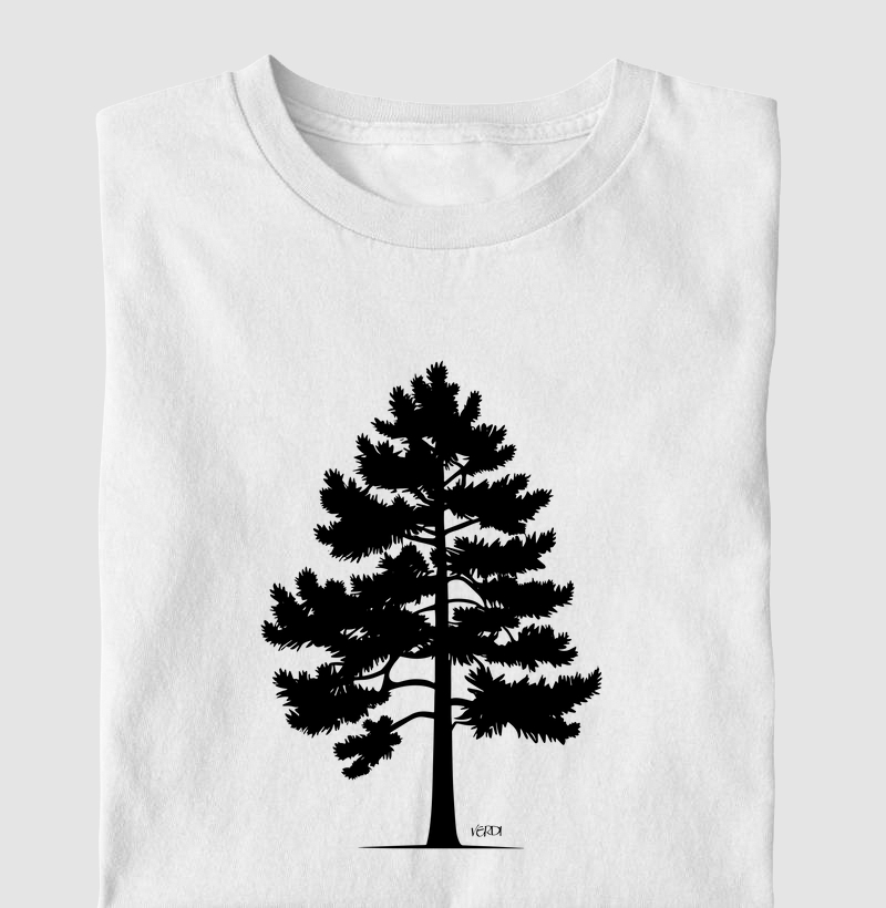 Árvore de Araucária 02