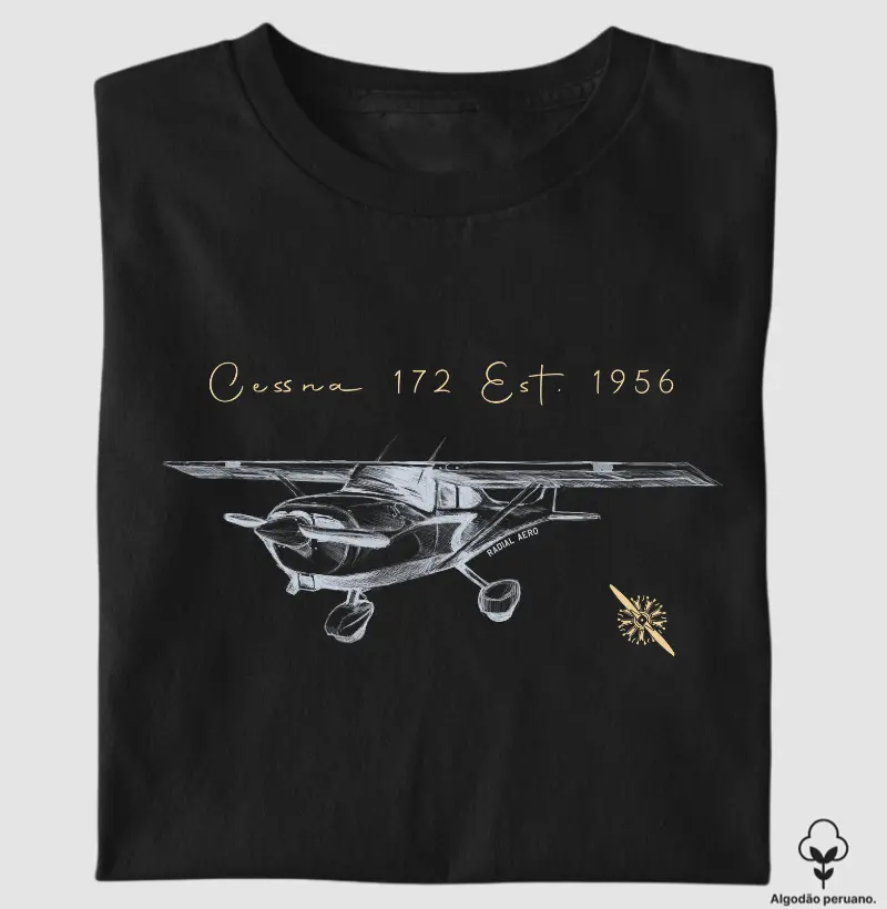 172 Skyhawk Premium