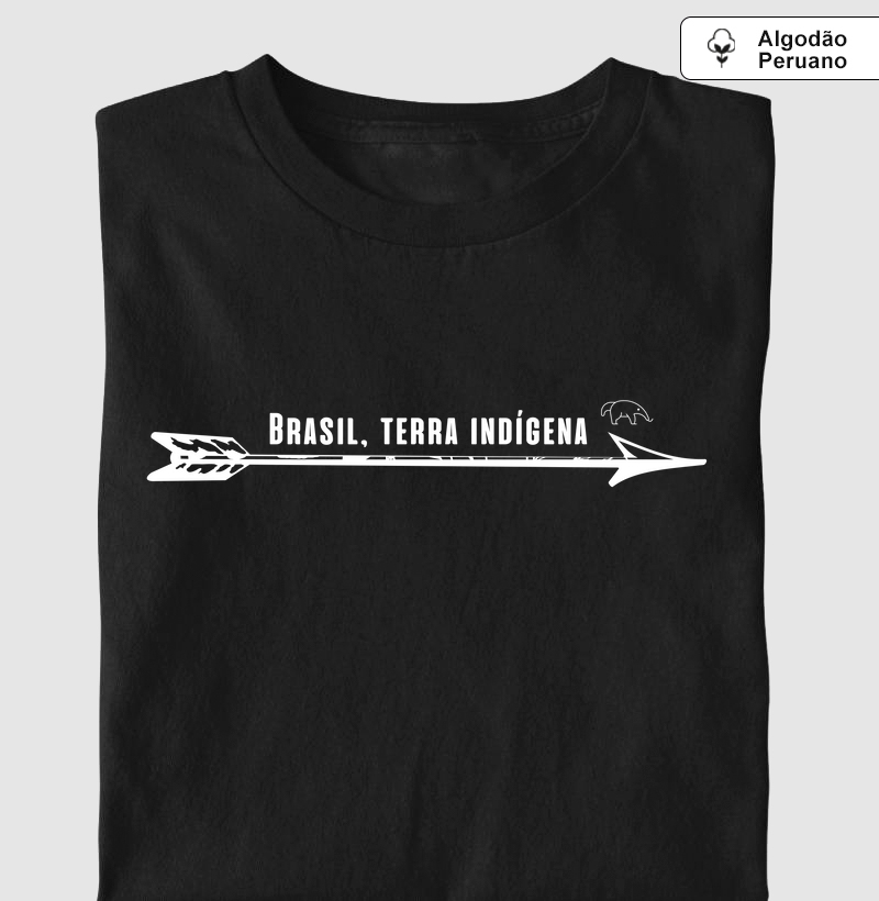 Brasil terra indígena
