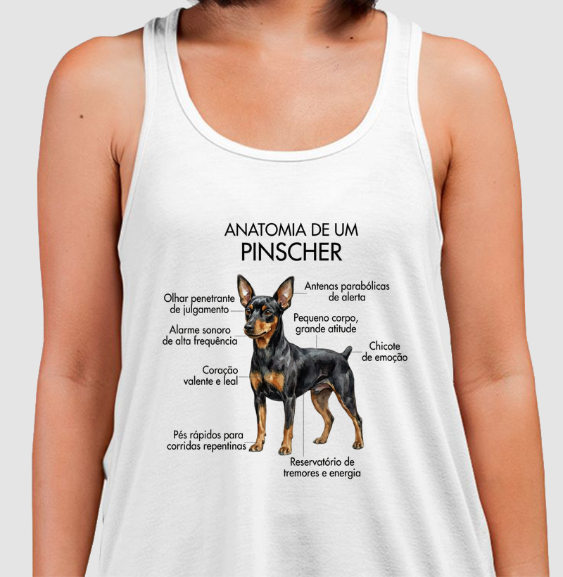 Anatomia Pinscher