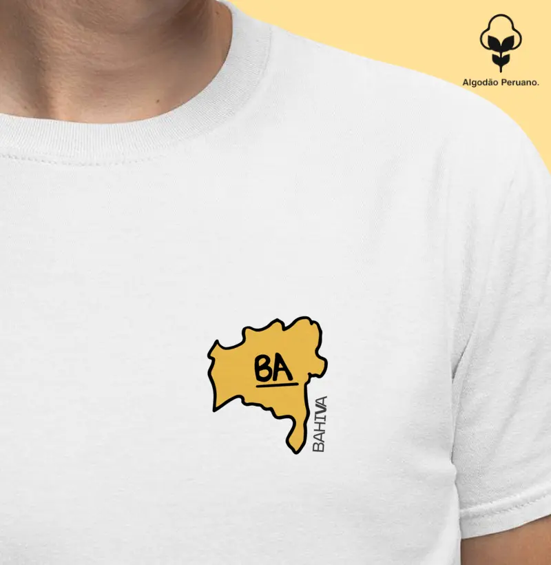 Mapa da Bahia - no miudinho