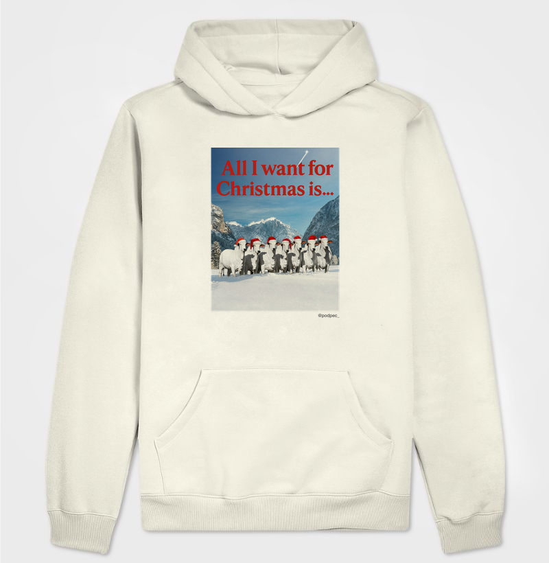 All I Want for Christmas is...