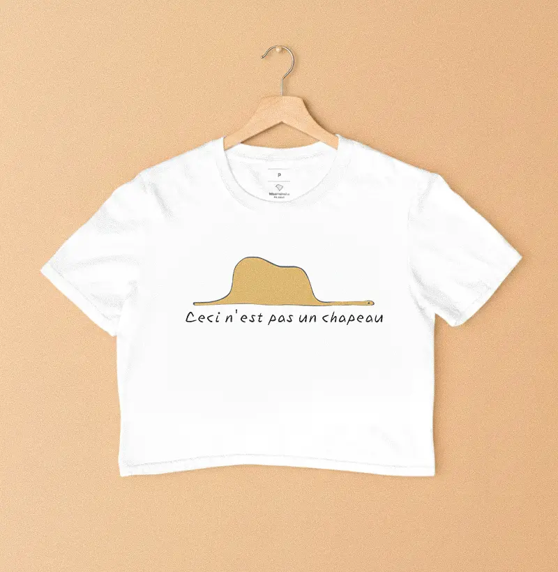 Jiboia - Pequeno Príncipe (em francês)