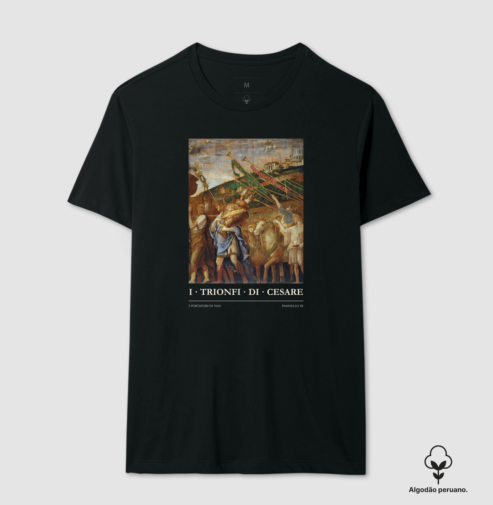 I TRIONFI DI CESARE - IX