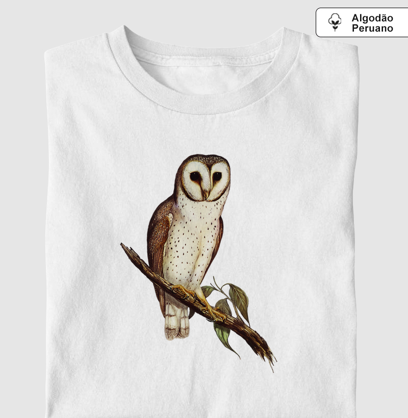 Delicate Owl