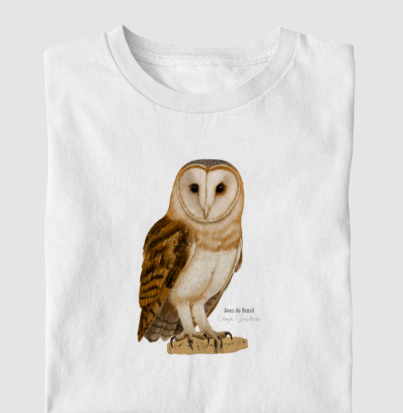 Aves do Brasil - Coruja Suindara - Infantil