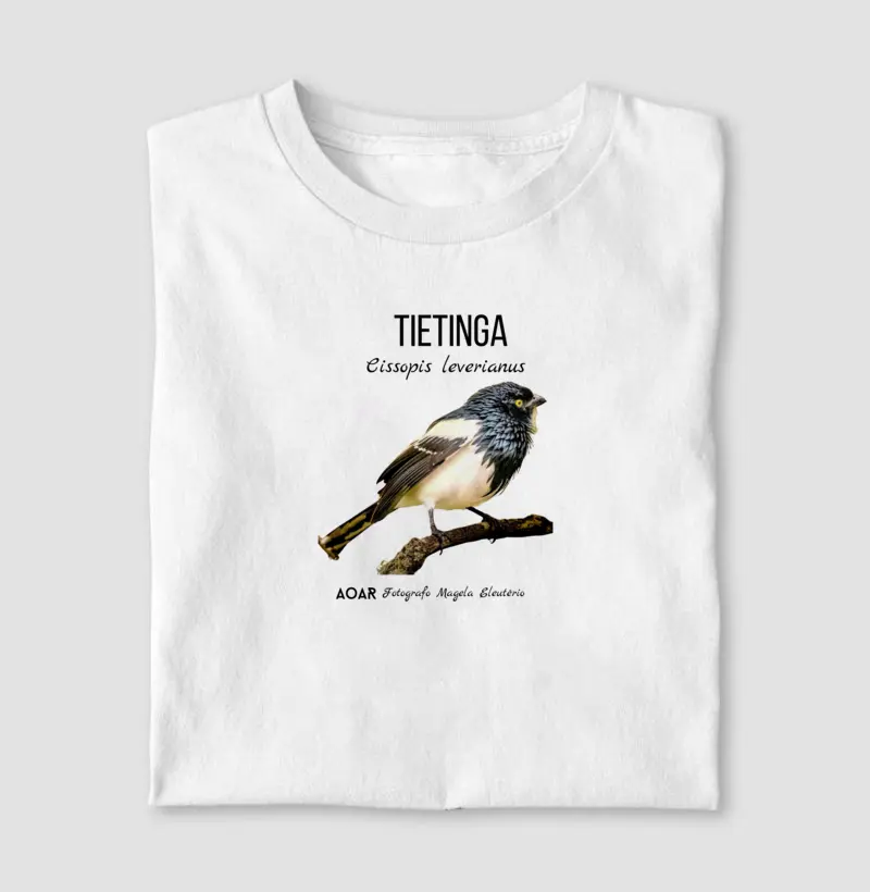 Aves da mata atlântica com Magela Eleutério TIETINGA