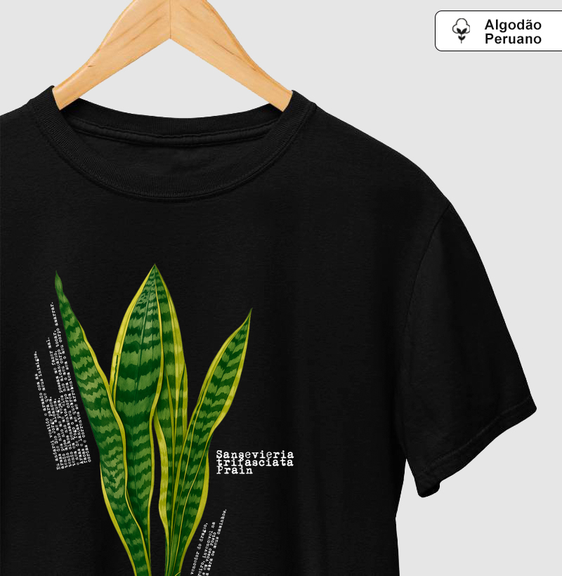 Sansevieria