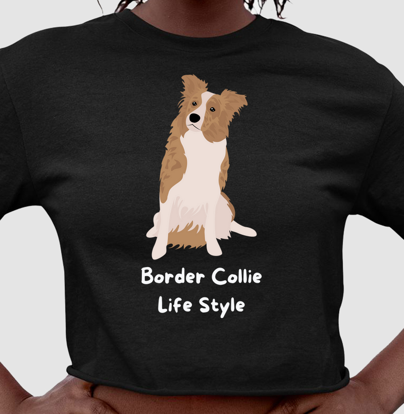 Border collie life style