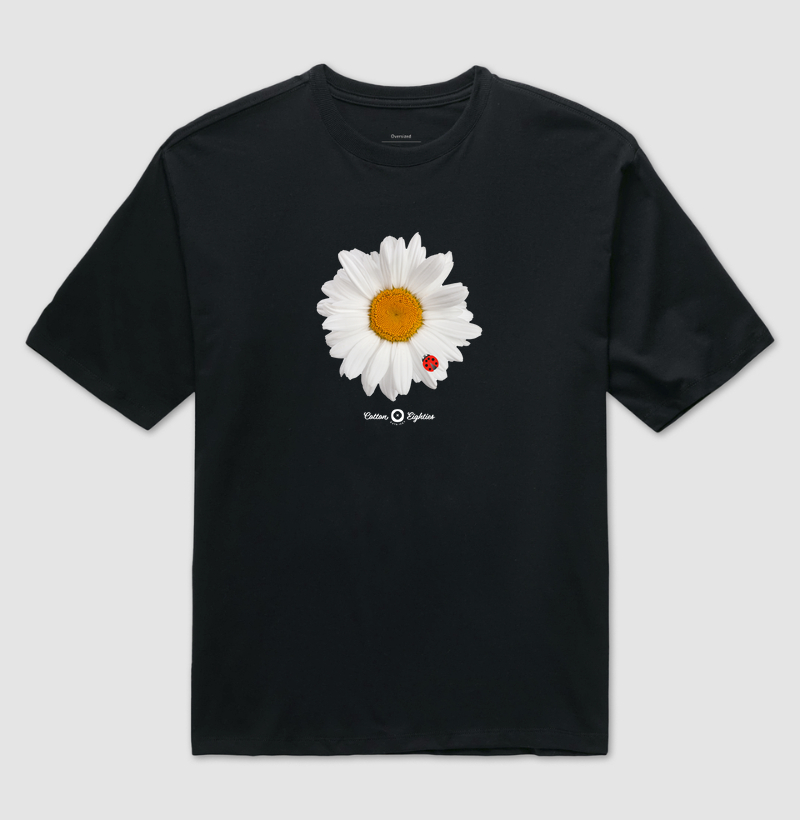 Daisy and Ladybug (Series)