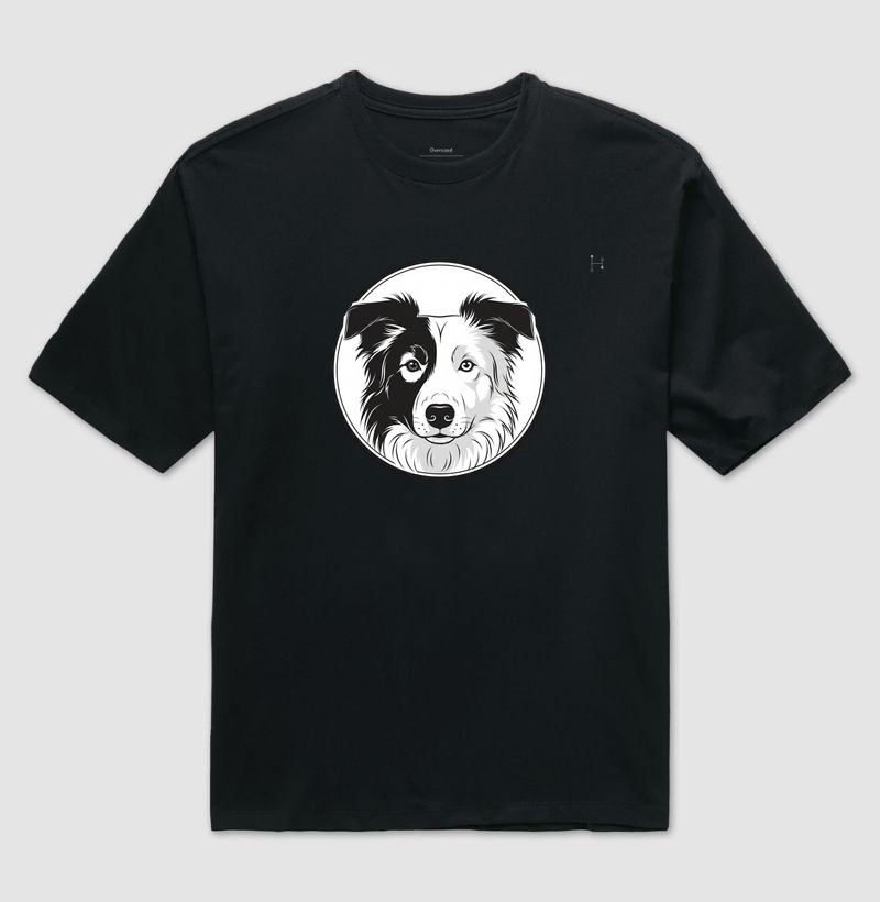 Border Collie - Parceria Pet Raiz