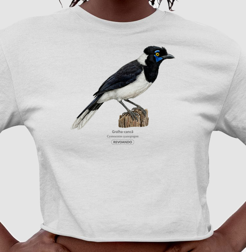 Traços Alados - Gralha-cancã - Cropped